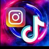 TikTok downloader