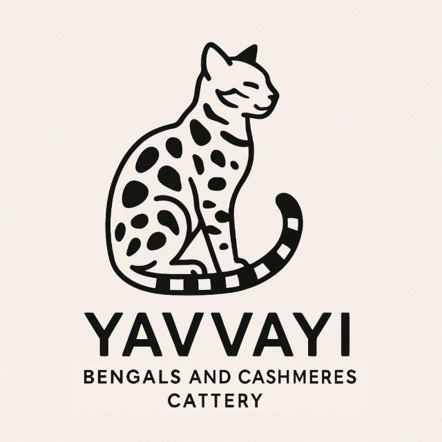 YAVVAYI B.C.C.