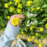 ربيعيَّةُ الرُّوح 🦋