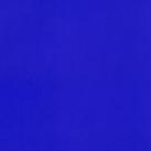 perfect blue