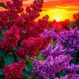 ✨Тихий уголок моей души...✨