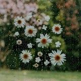 ❀ إيناس ❀