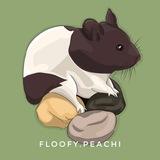 FLOOFY.PEACHI