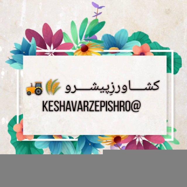 کشاورز پیشرو 🌾🚜