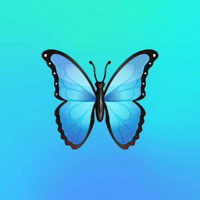 All online work with Tanzeeb