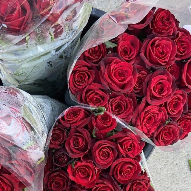 هِبَة فِي كُلِ رُوح 💚 𓂆.