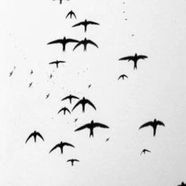the conference of the birds