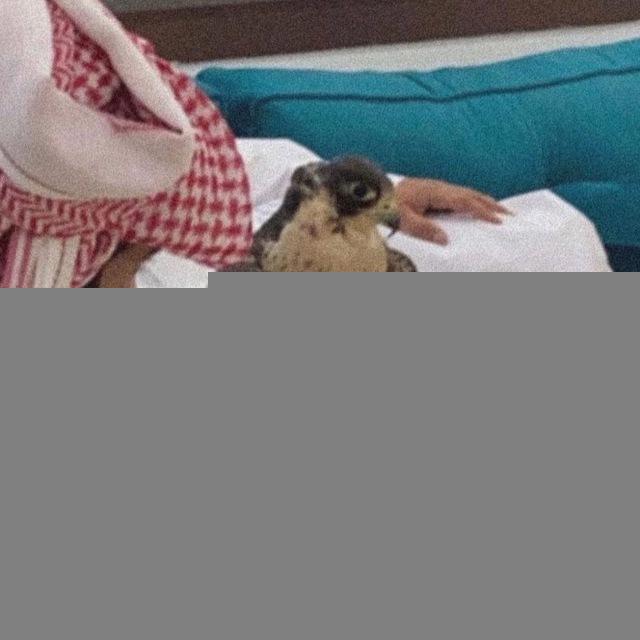 سرابَ.