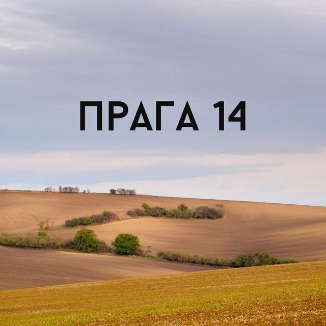 Прага 14: нетворкинг и образование, курсы чешского