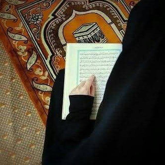 حنان محمود لاشين