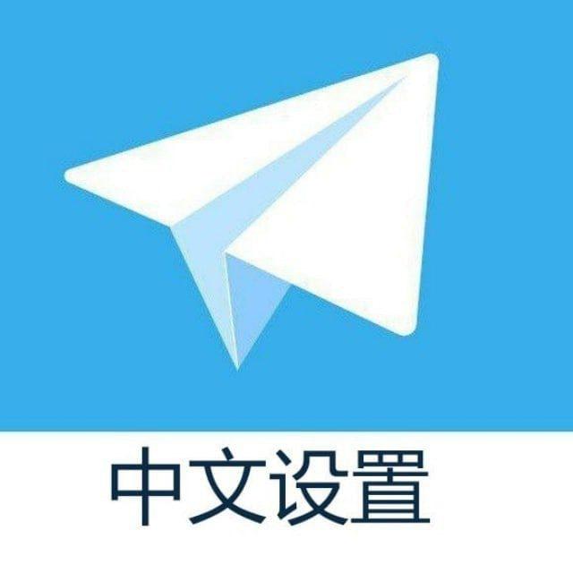 zh-cn-中文语音包