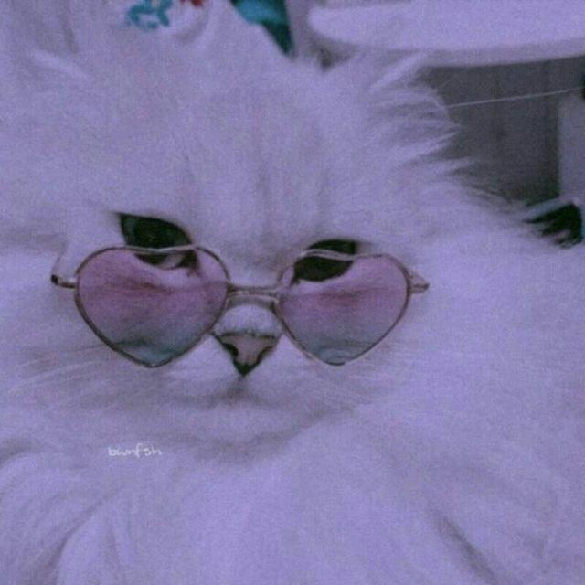 -вωηfѕн♡