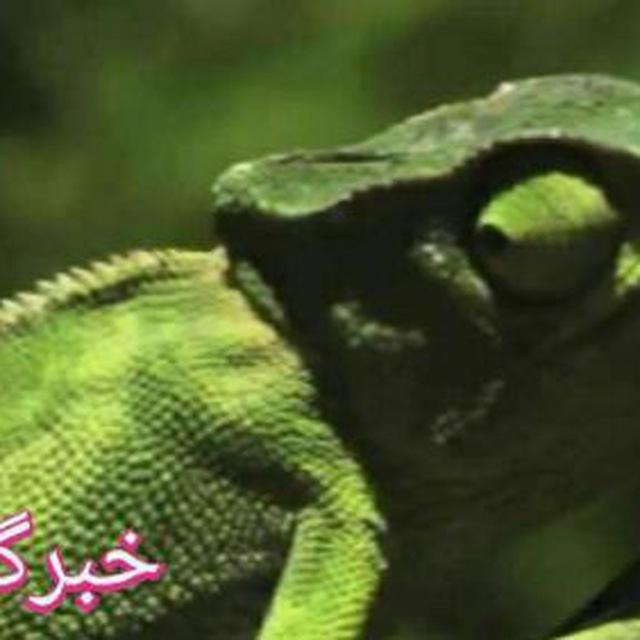 ሴቶችን በፍቅር ለማማል