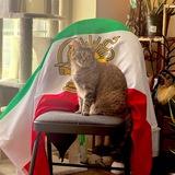 روحی در توکیو