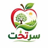 🍏کانال 🍎 سـرتخت🍏