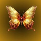 មេអំបៅមាស🦋🔞