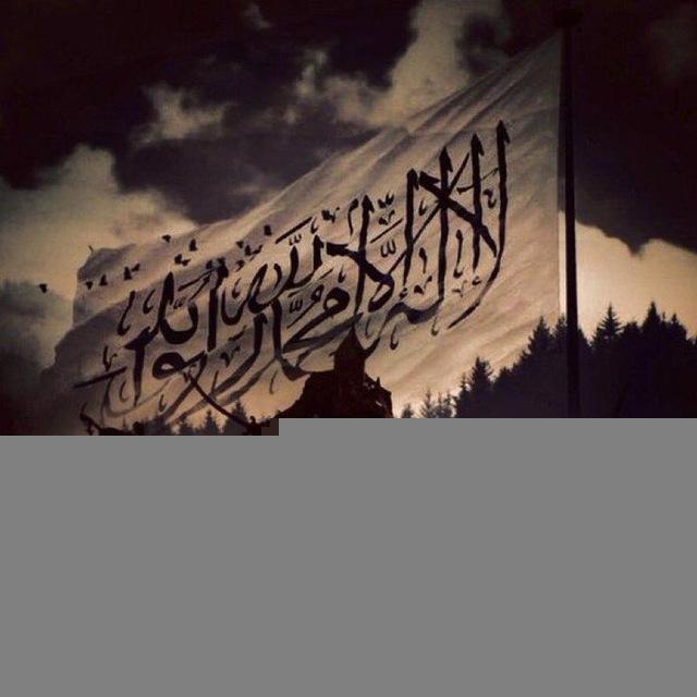 غـــراس حنيــن..