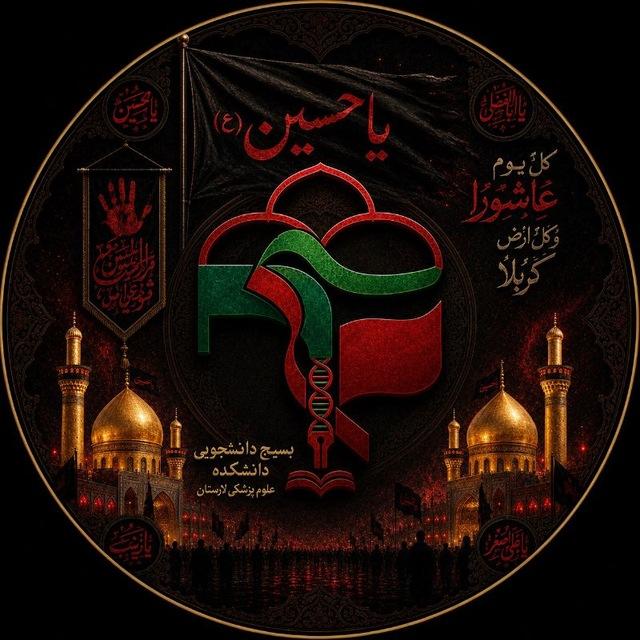 بسیج دانشجویی ع.پ لارستان