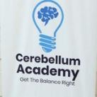 Cerebelllum academy official