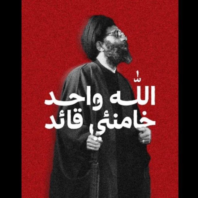 ناصر ابو شعلان - Nasser Abu Shaalan