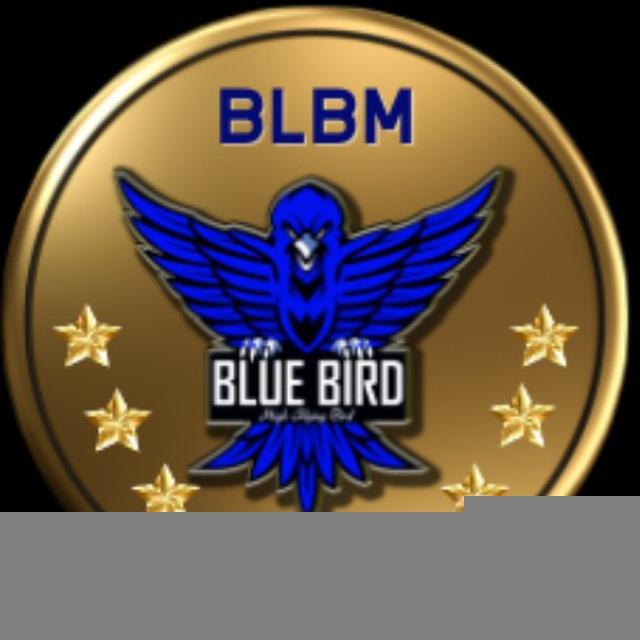 Blue Bird BLB Announcements