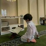 وَدْق