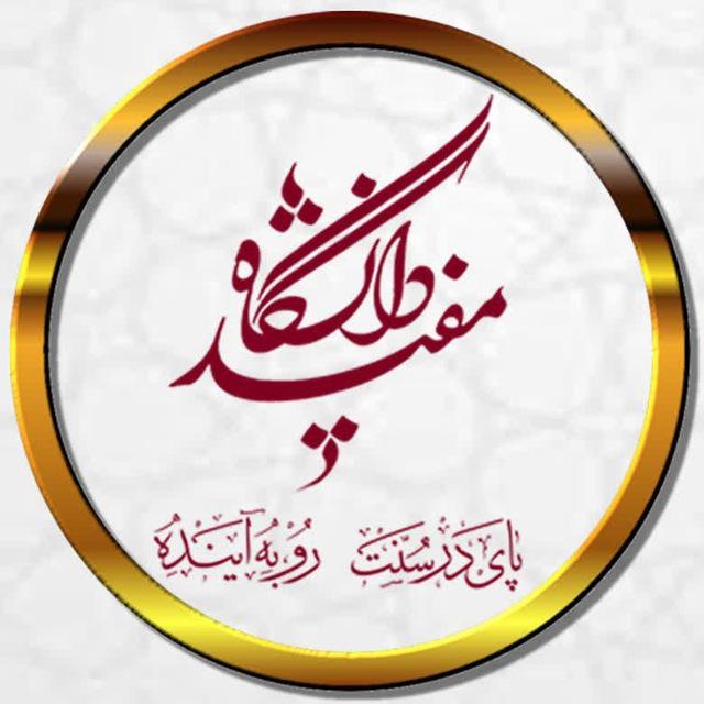 دانشگاه مفید