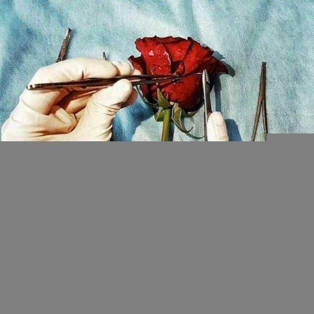 سفراء الطب 🩺