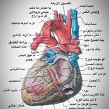 تخدير وعناية مركزة ♡