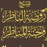 شرح روضة الناظر وجنة المناظر