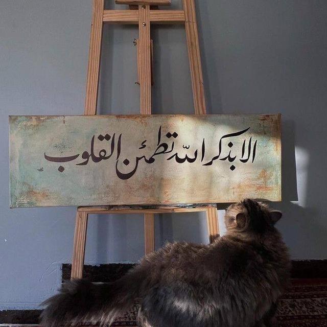 𝙌𝙪𝙧𝙖𝙣 | قُرآنْ