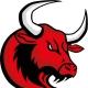Bulls Signals