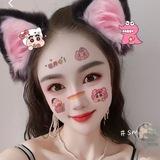 ❤️❤️❤️猫咪宝贝🐱的圈圈❤️❤️❤️