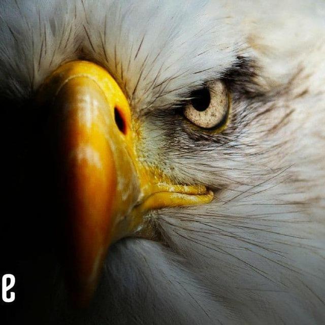 Oklahoma Patriot Friends