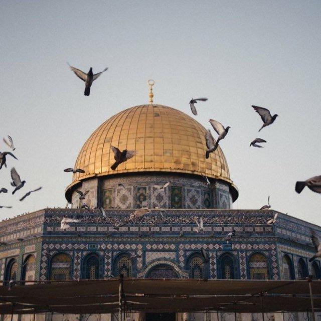 وعي {السِّيرةَ النَّبَوية}