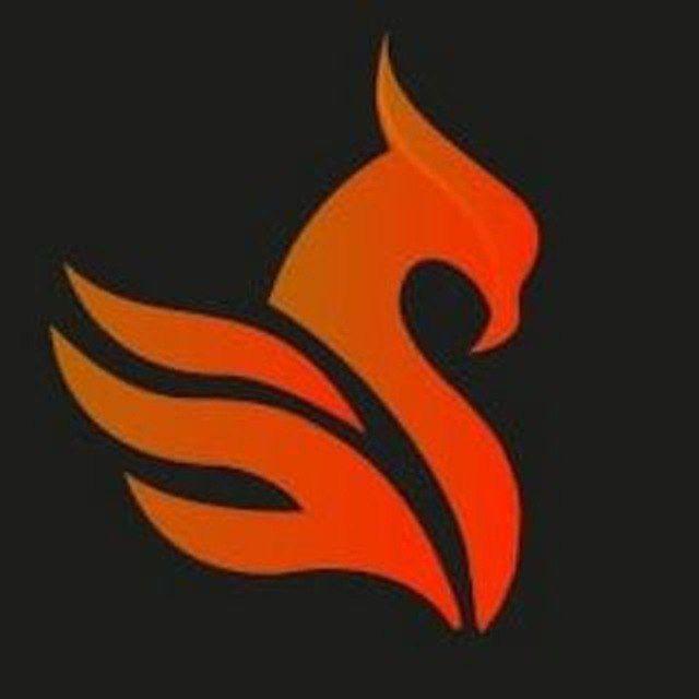 EL RESURGIR DEL TRADER 5