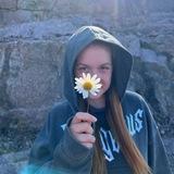 принкс <З