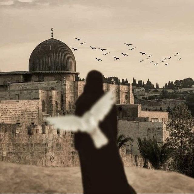سنَعبُر بالإسلام.
