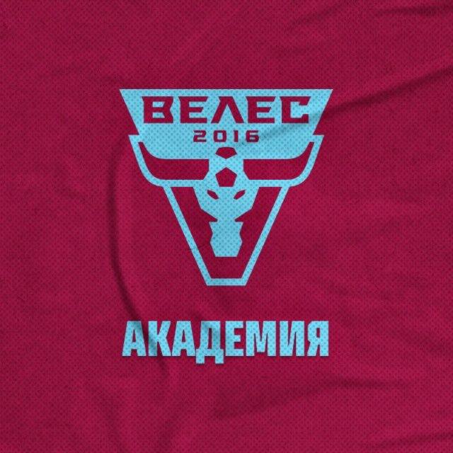 Академия «Велес»