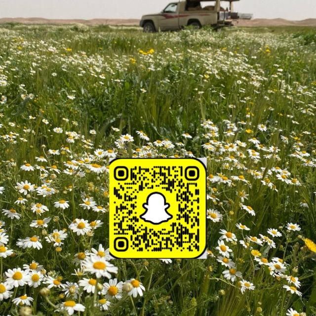 قناة بدر بن علي 📸