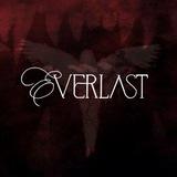 EVERLAST | TF