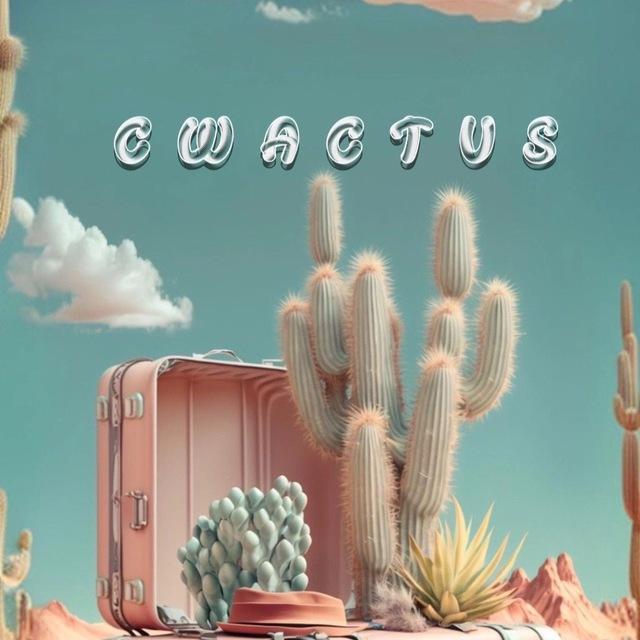 🌵کاکتوس🌵