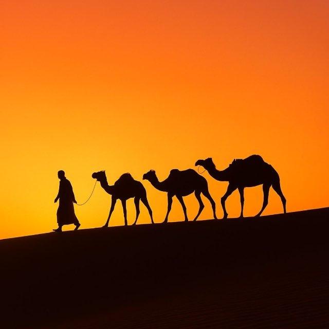 مُش ممكن!