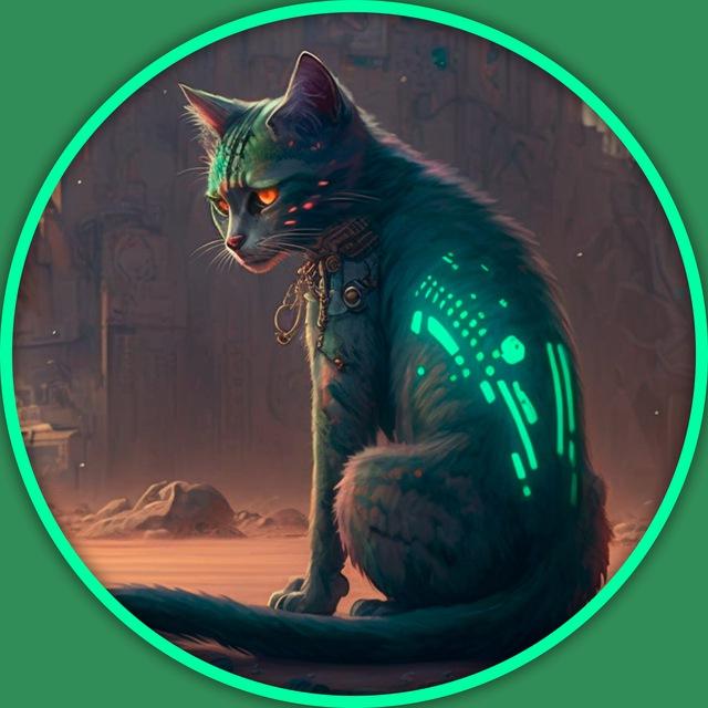 LETO CG