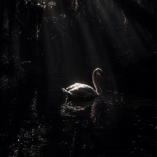 حُطام