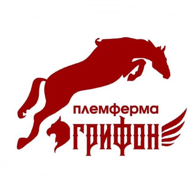 ГРИФОН | Конный клуб и конеферма