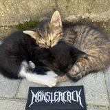 MONSTERCOCK