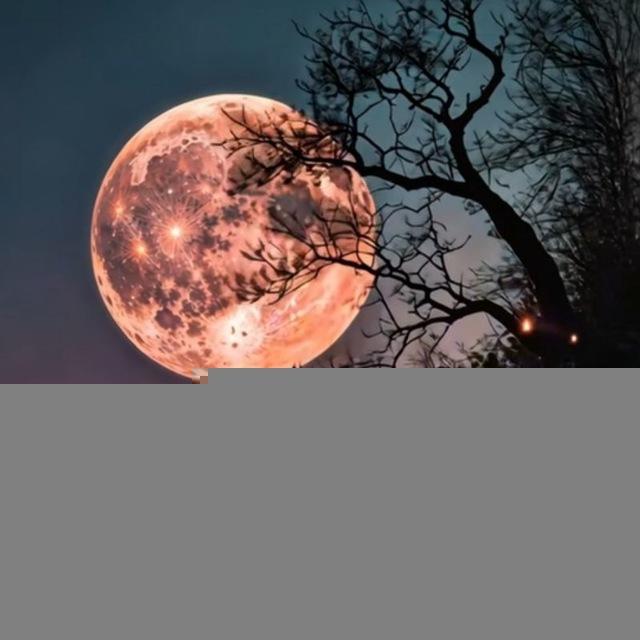 گوگبي جمـيـﮯل🌗❄️