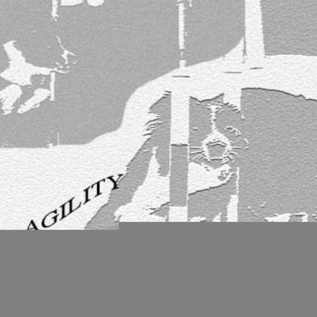 AGILITY RUS