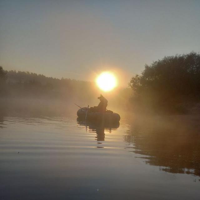 На рыбалку с Мишаней)🐟🎣🐠